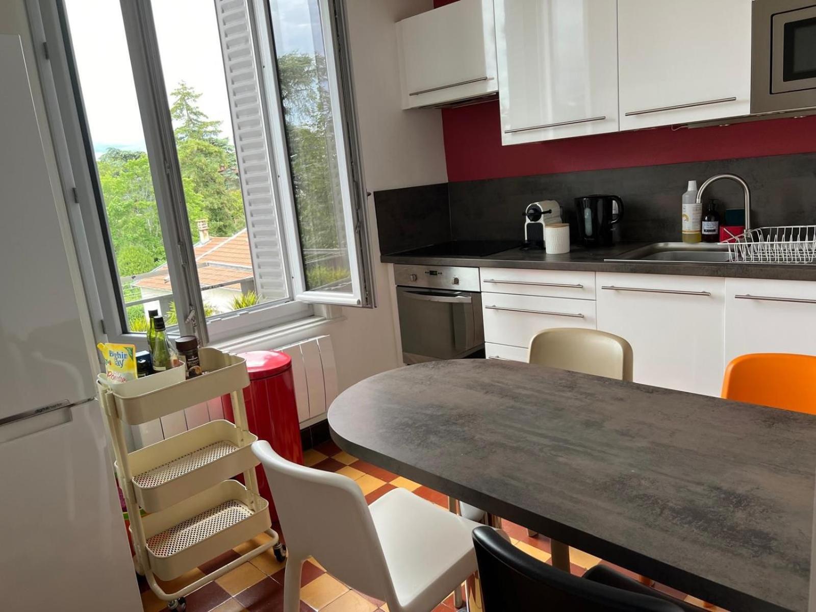 La Suite Des Cedres - T3 Lyon 3 Exteriér fotografie